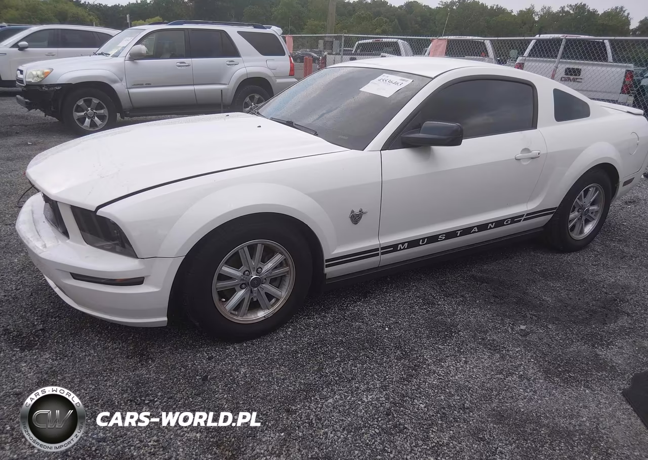 2009 Ford Mustang V6-V6 Premium VIN:1ZVHT80N095141393 - 2
