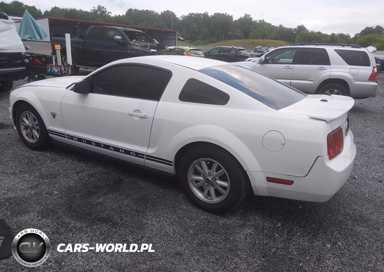 2009 Ford Mustang V6-V6 Premium VIN:1ZVHT80N095141393 - 3