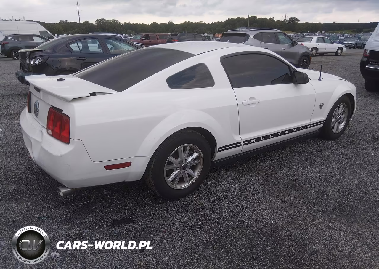 2009 Ford Mustang V6-V6 Premium VIN:1ZVHT80N095141393 - 4