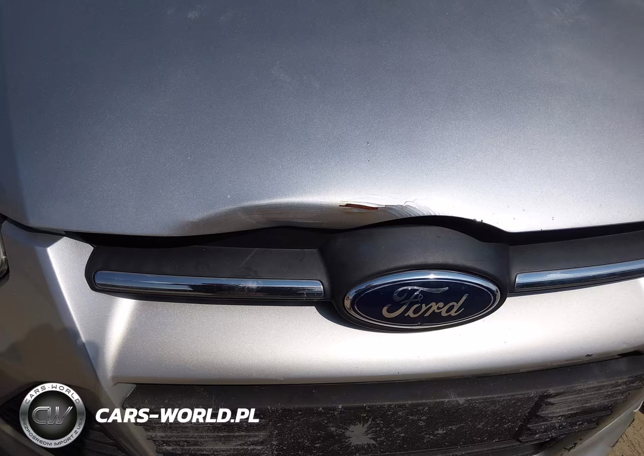 2013 Ford Focus Se VIN:1FADP3F23DL354905 - 14