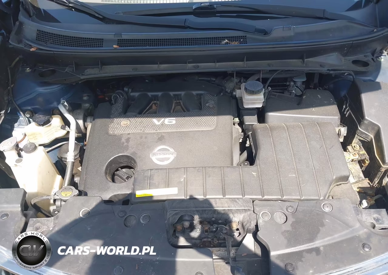 2010 Nissan Murano Le VIN:JN8AZ1MW6AW112335 - 10