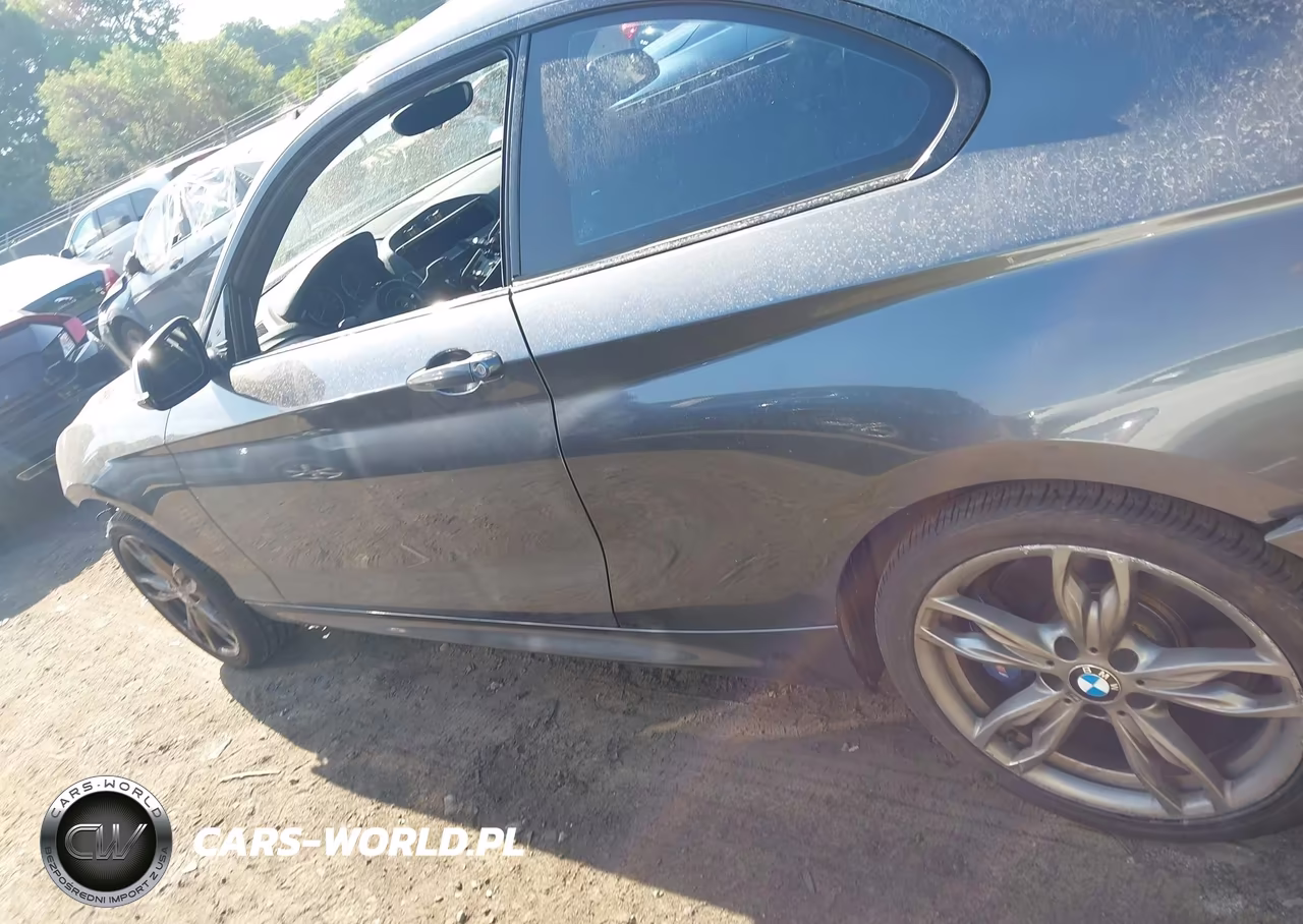 2015 BMW M235 xDrive VIN:WBA1J9C53FVX99374 - 14