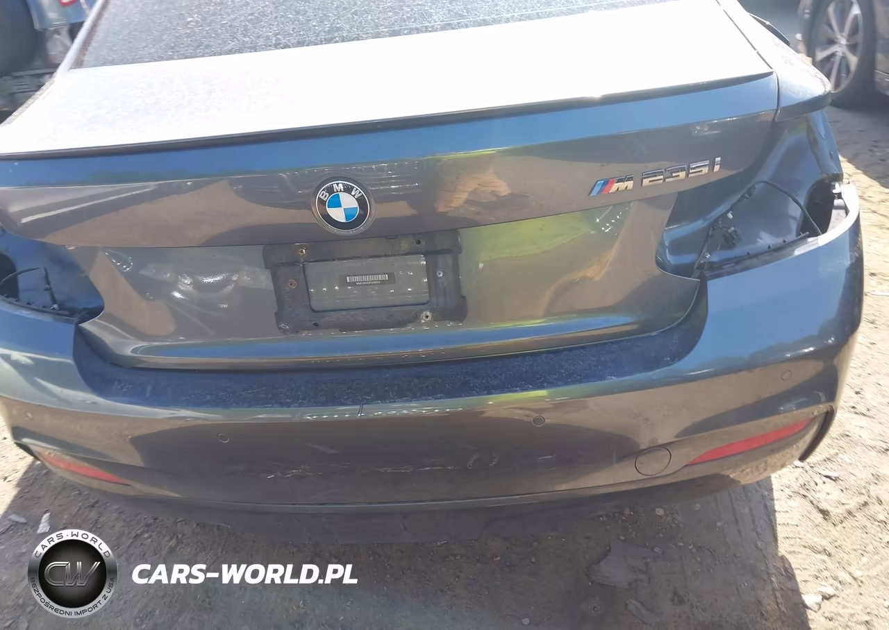 2015 BMW M235 xDrive VIN:WBA1J9C53FVX99374 - 16