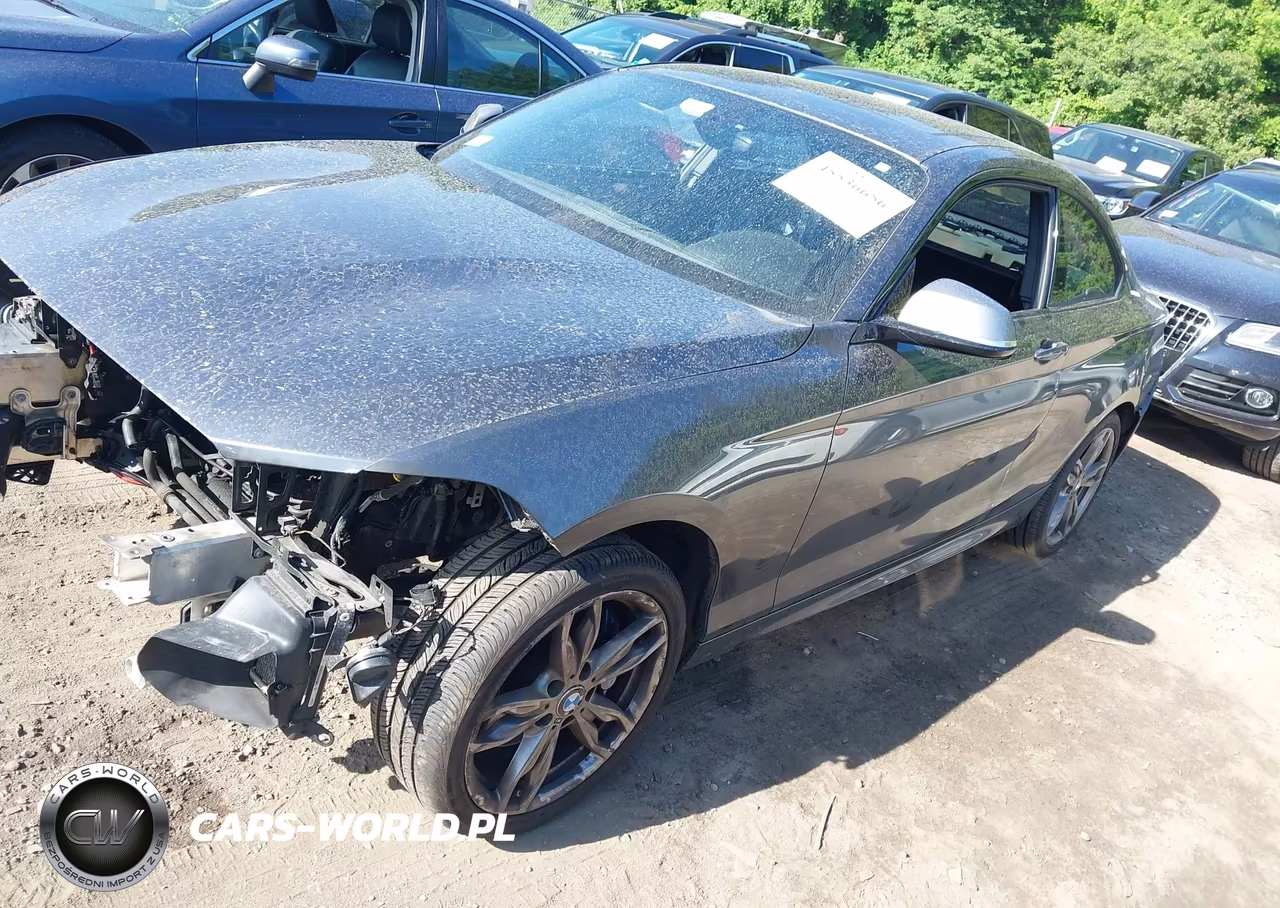 2015 BMW M235 xDrive VIN:WBA1J9C53FVX99374 - 2
