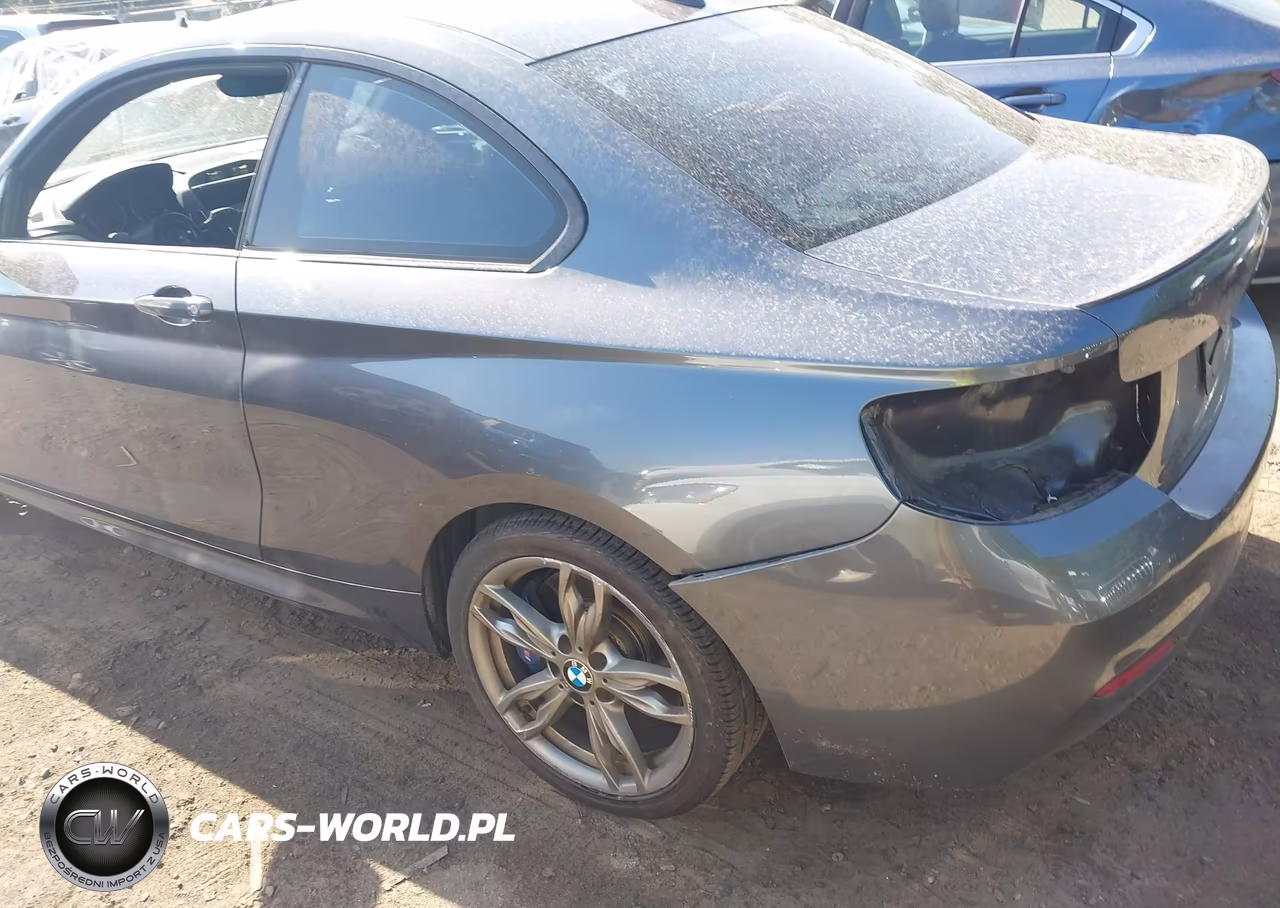 2015 BMW M235 xDrive VIN:WBA1J9C53FVX99374 - 3