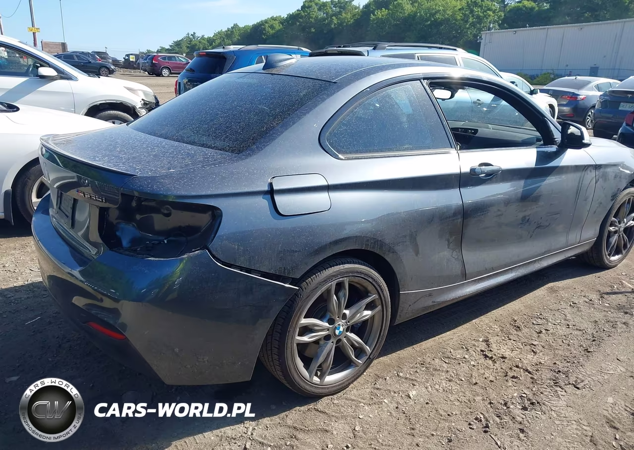 2015 BMW M235 xDrive VIN:WBA1J9C53FVX99374 - 4