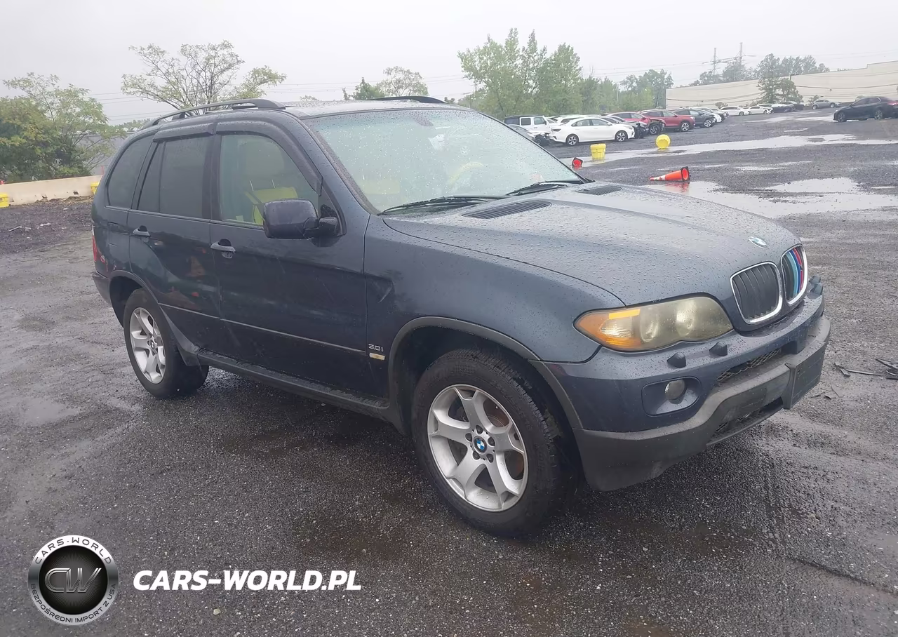2006 BMW X5 3.0I