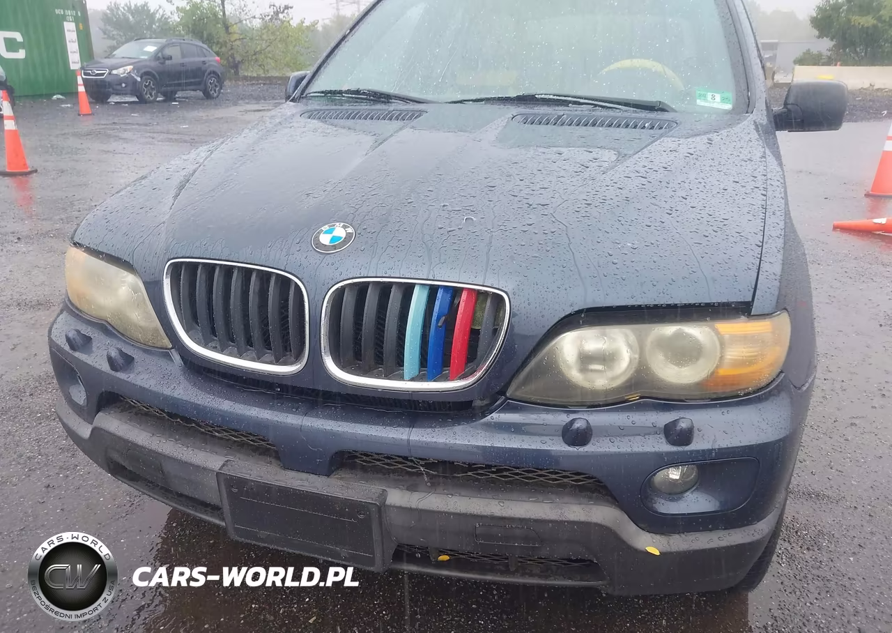 2006 BMW X5 3.0I VIN:5UXFA13576LY37998 - 6