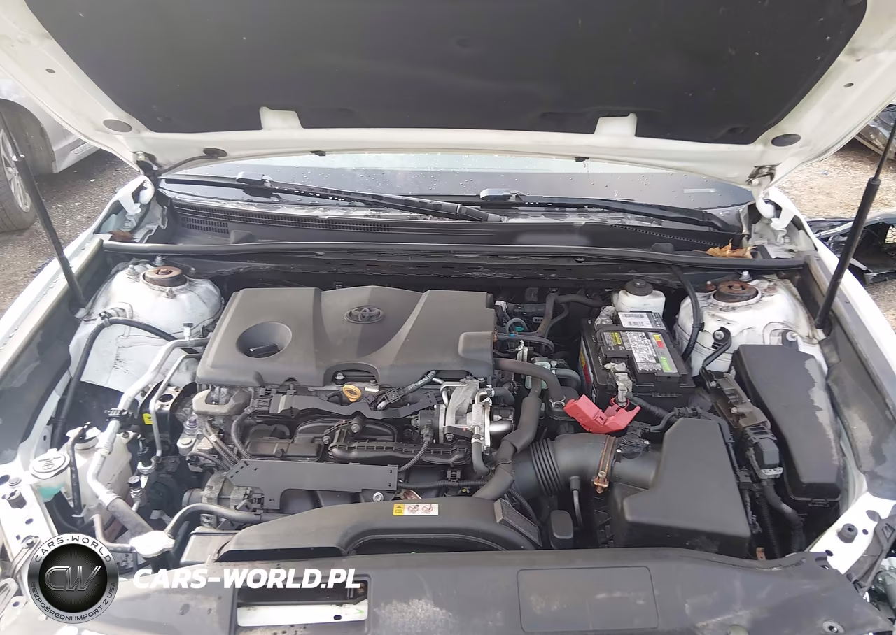 2020 Toyota Camry Le VIN:4T1C11AK0LU920154 - 10