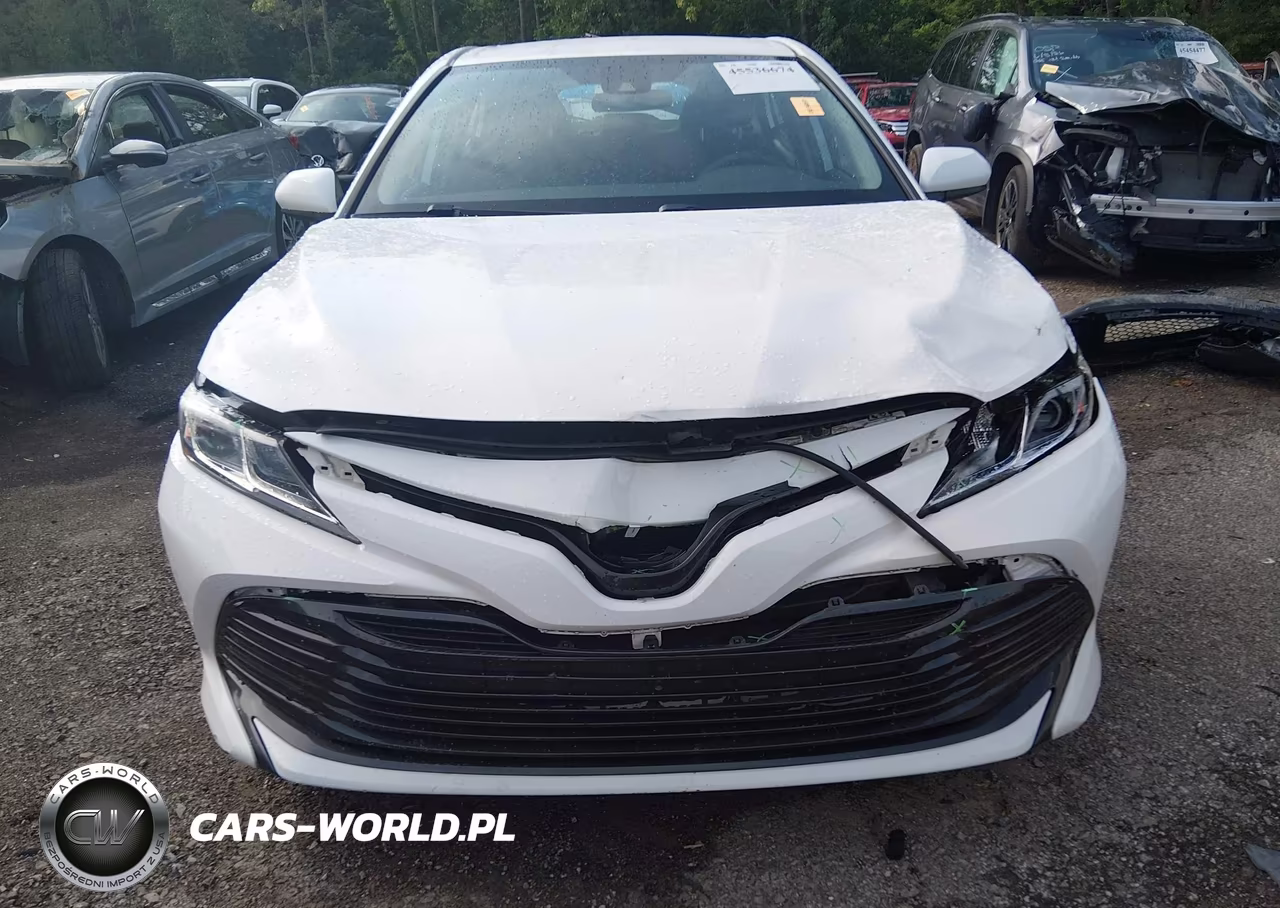 2020 Toyota Camry Le VIN:4T1C11AK0LU920154 - 12