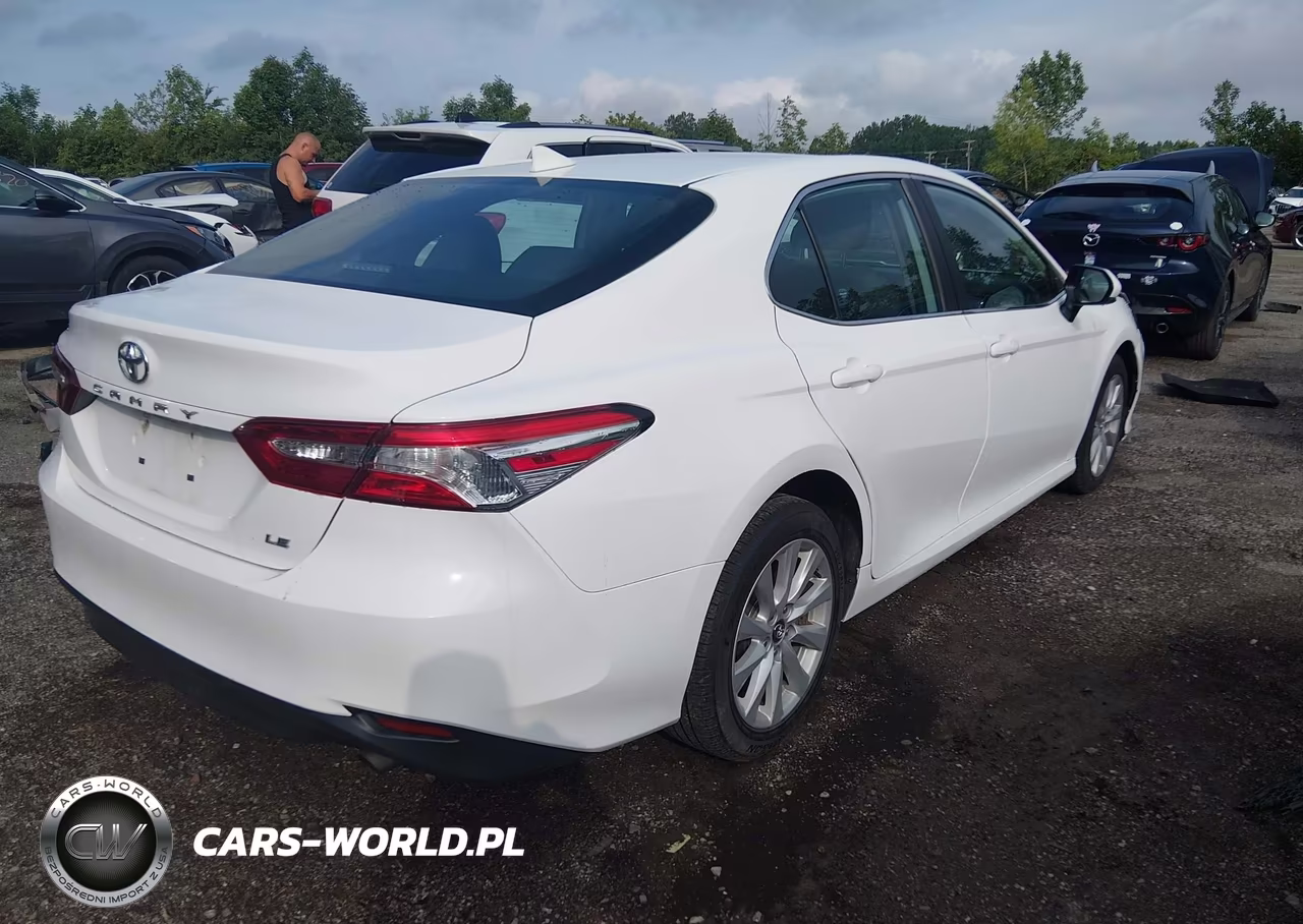 2020 Toyota Camry Le VIN:4T1C11AK0LU920154 - 4