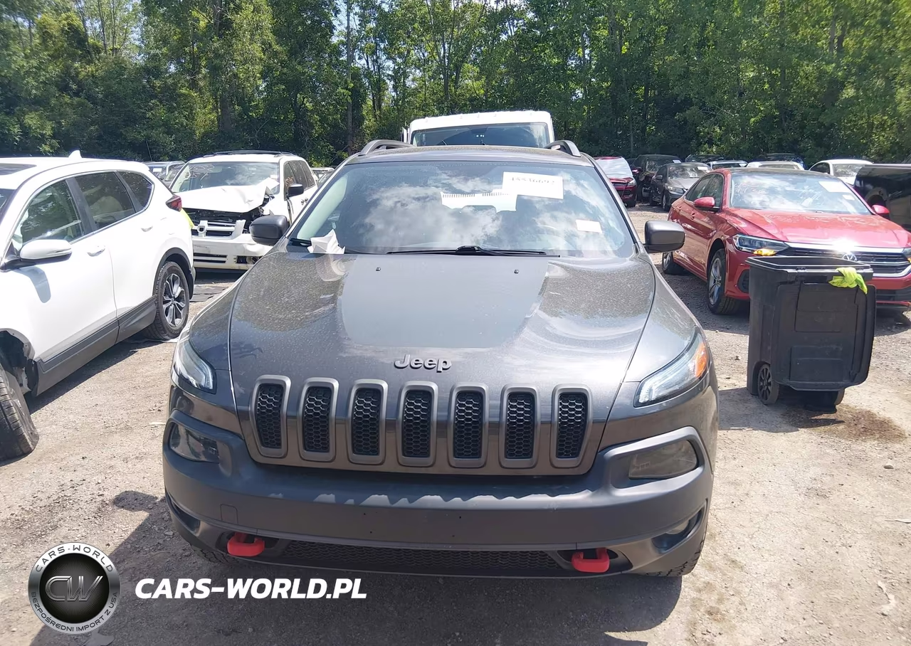 2017 Jeep Cherokee Trailhawk VIN:1C4PJMBS0HW612791 - 12
