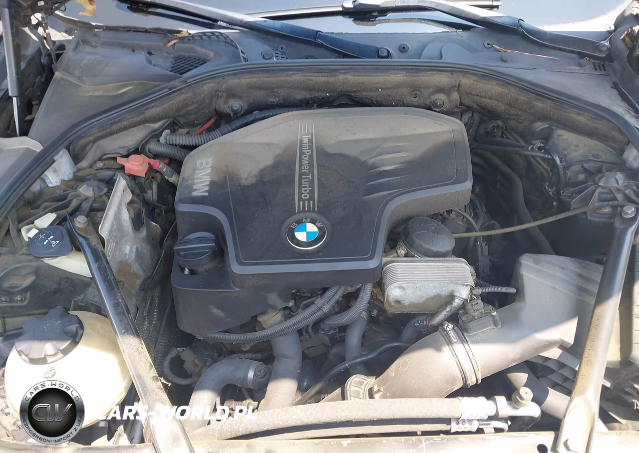 2014 BMW 528I xDrive VIN:WBA5A7C5XED613548 - 10