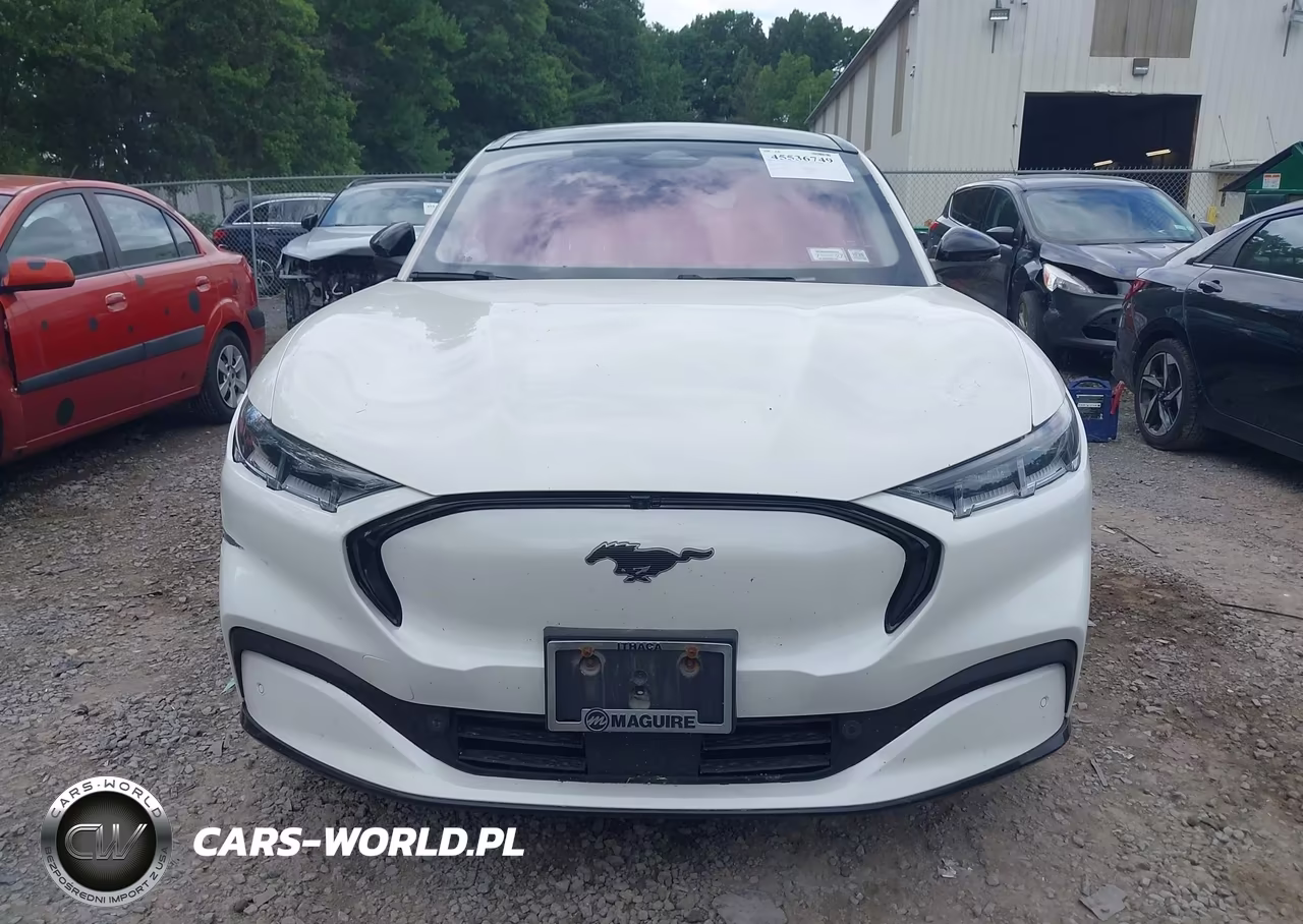 2021 Ford Mustang Mach-E Premium VIN:3FMTK3SS4MMA24548 - 13