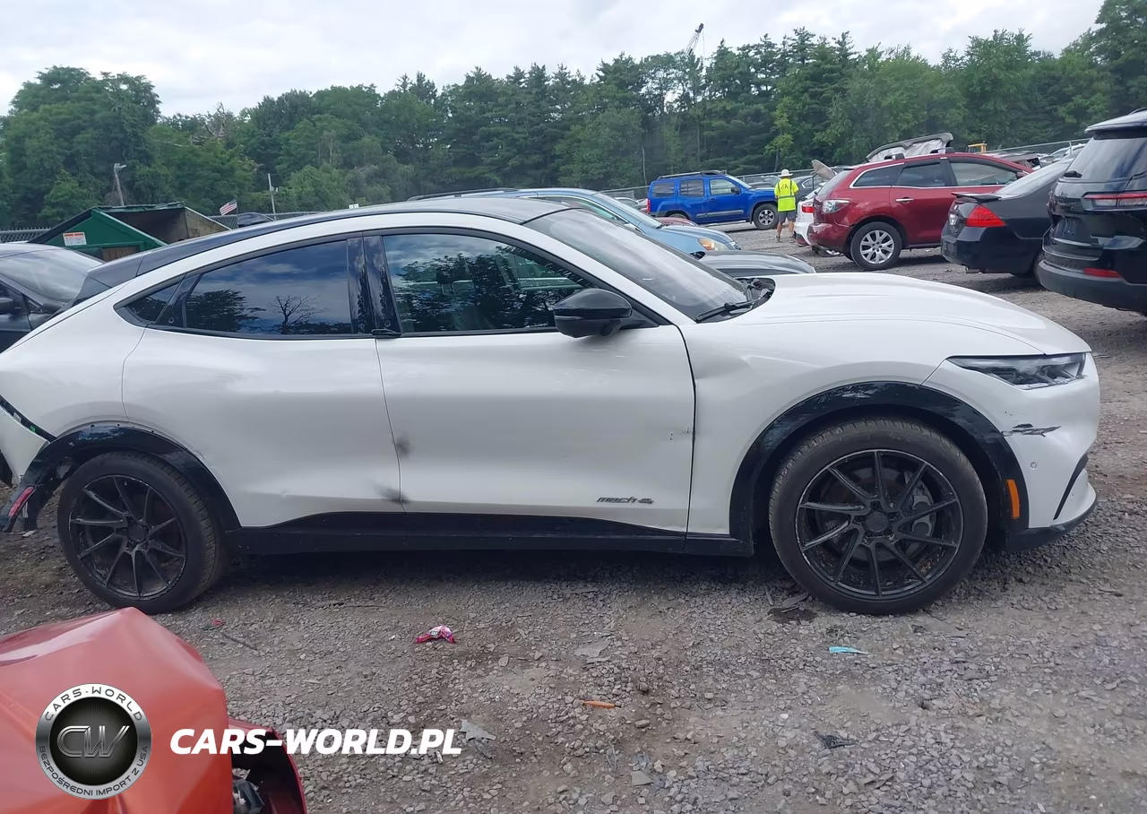 2021 Ford Mustang Mach-E Premium VIN:3FMTK3SS4MMA24548 - 14