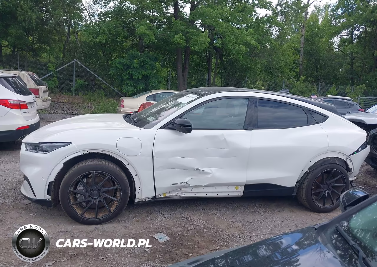 2021 Ford Mustang Mach-E Premium VIN:3FMTK3SS4MMA24548 - 15