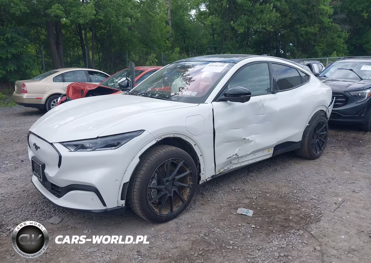 2021 Ford Mustang Mach-E Premium VIN:3FMTK3SS4MMA24548 - 2