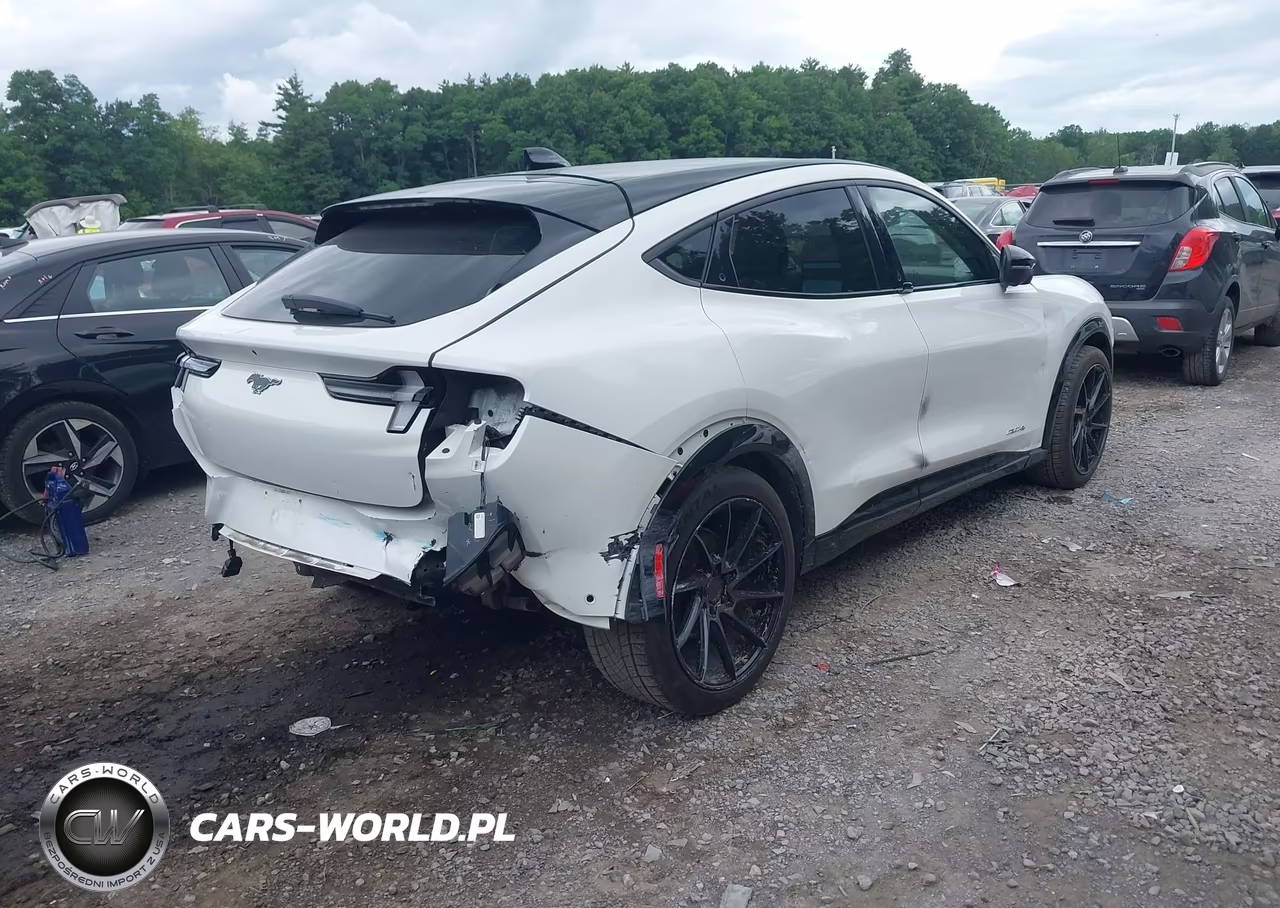 2021 Ford Mustang Mach-E Premium VIN:3FMTK3SS4MMA24548 - 4