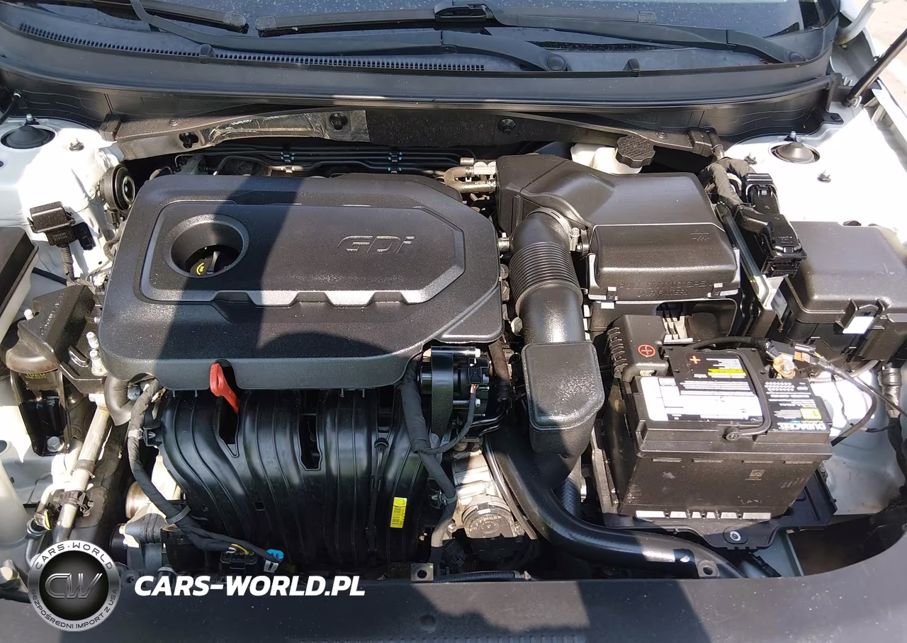 2016 Hyundai Sonata Se VIN:5NPE24AF3GH378319 - 10
