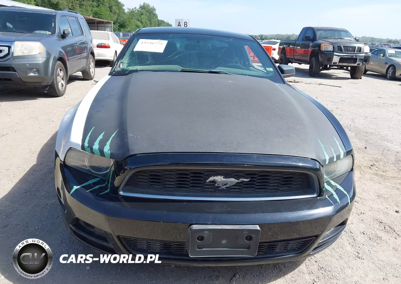 2014 Ford Mustang V6-V6 Premium VIN:1ZVBP8AM5E5204353 - 13