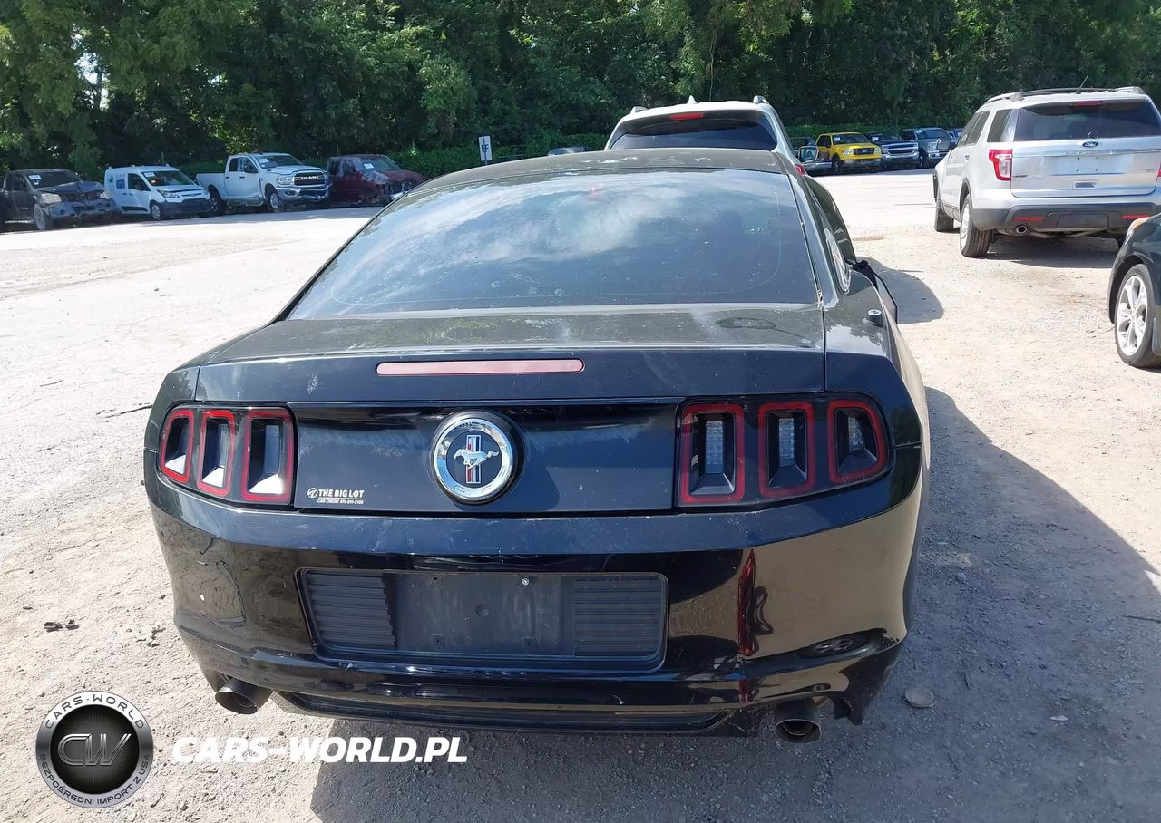 2014 Ford Mustang V6-V6 Premium VIN:1ZVBP8AM5E5204353 - 17