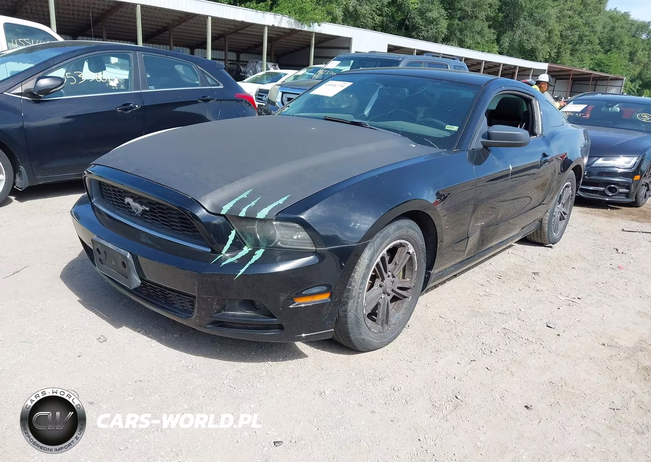 2014 Ford Mustang V6-V6 Premium VIN:1ZVBP8AM5E5204353 - 2