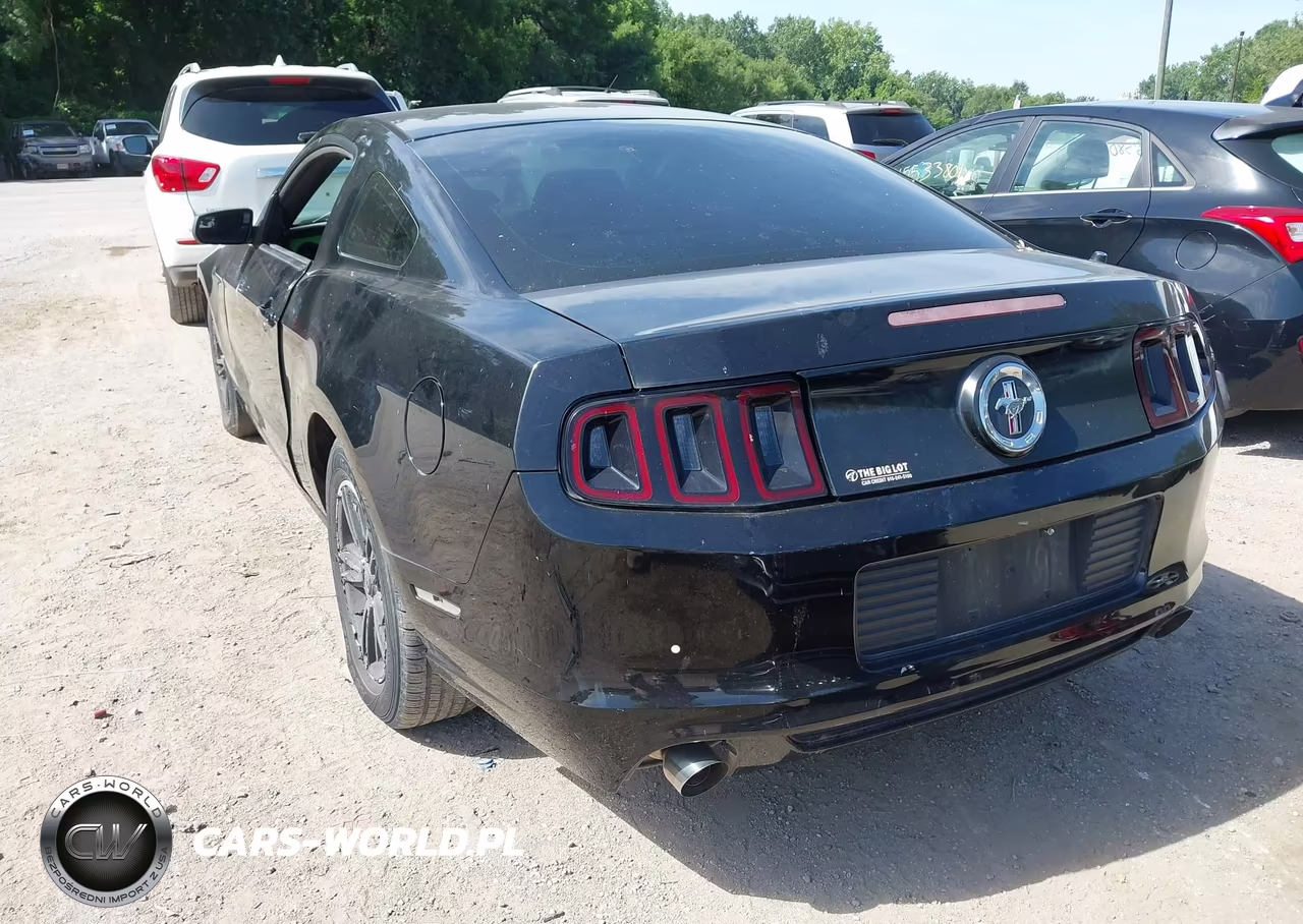 2014 Ford Mustang V6-V6 Premium VIN:1ZVBP8AM5E5204353 - 3