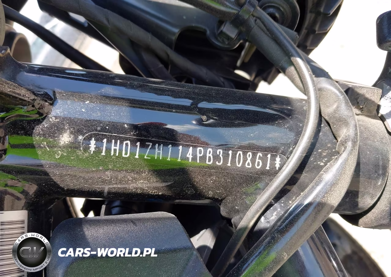 2023 Harley-Davidson Rh975 VIN:1HD1ZH114PB310861 - 10