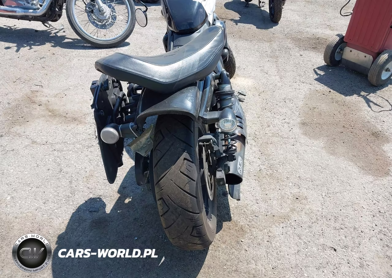 2023 Harley-Davidson Rh975 VIN:1HD1ZH114PB310861 - 6