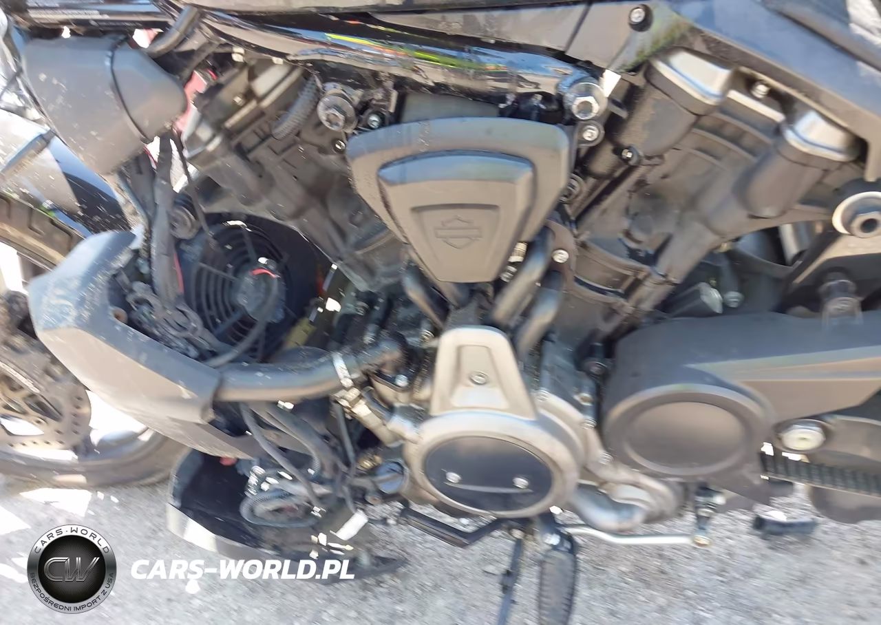2023 Harley-Davidson Rh975 VIN:1HD1ZH114PB310861 - 9