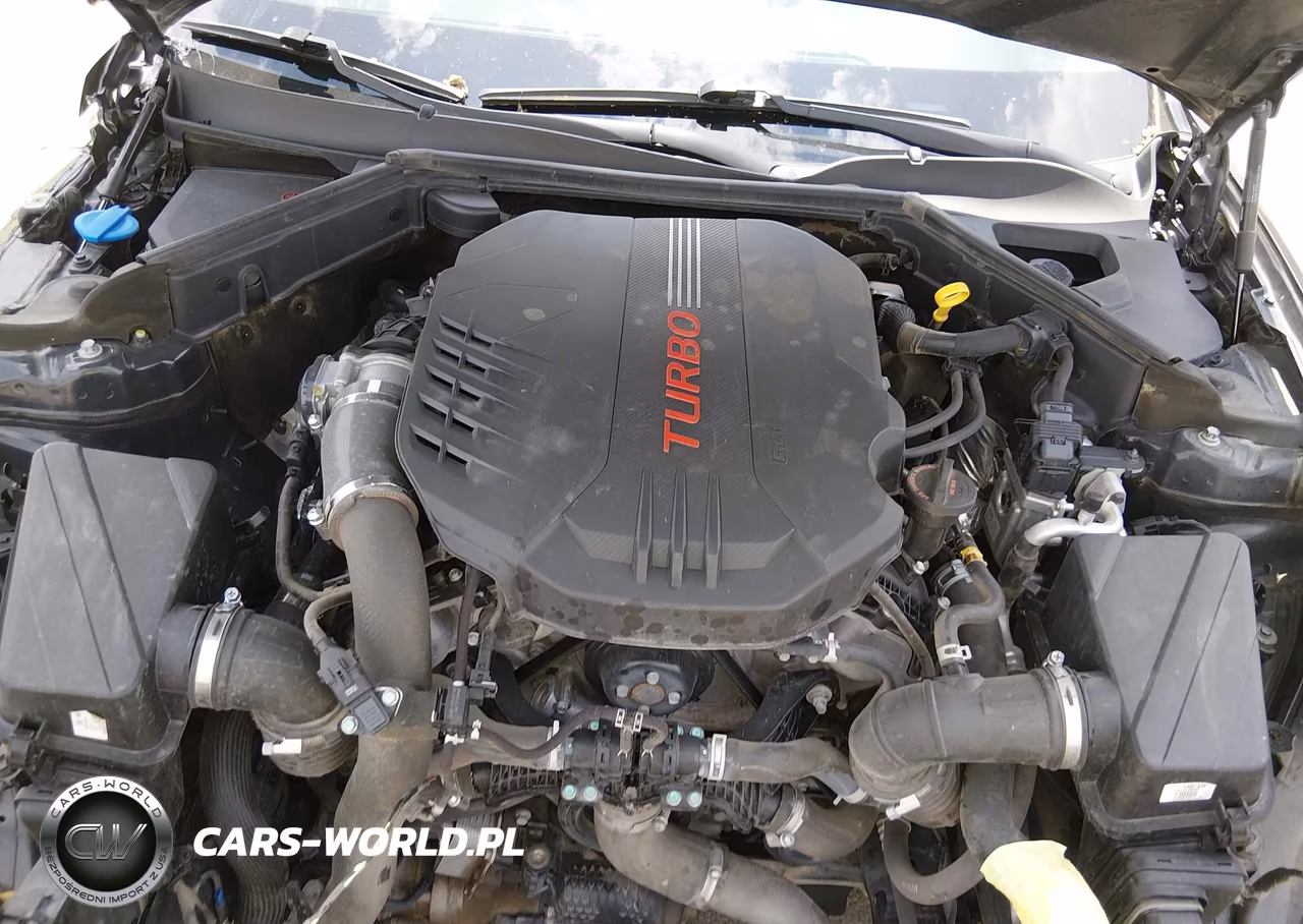 2022 Kia Stinger Gt1 VIN:KNAE45LC9N6101519 - 10