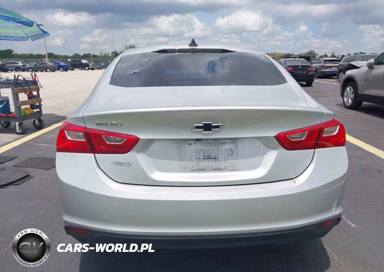 2020 Chevrolet Malibu Fwd Ls VIN:1G1ZB5ST9LF135400 - 17