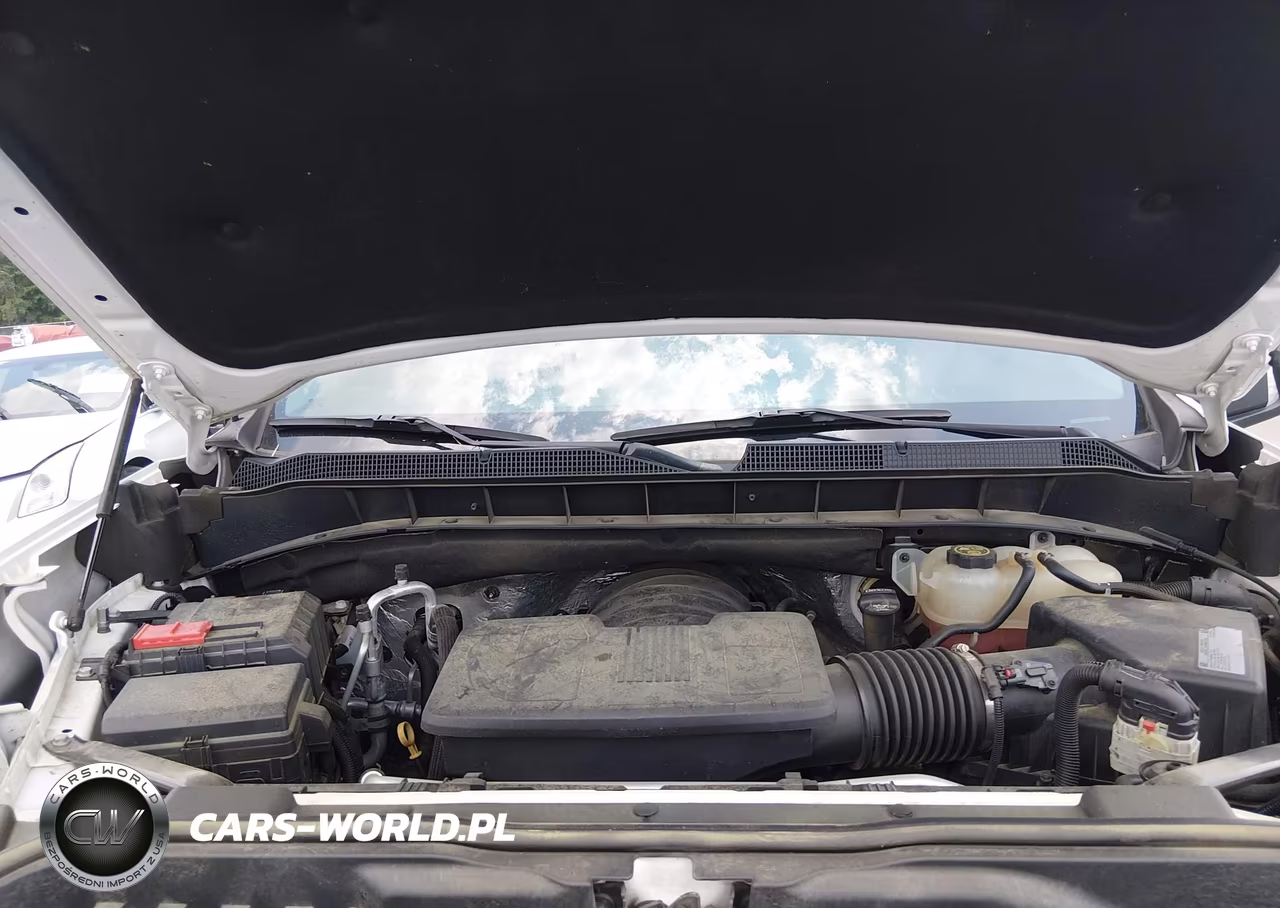 2019 Chevrolet Silverado 1500 Lt Trail Boss VIN:1GCPYFED4KZ123868 - 10
