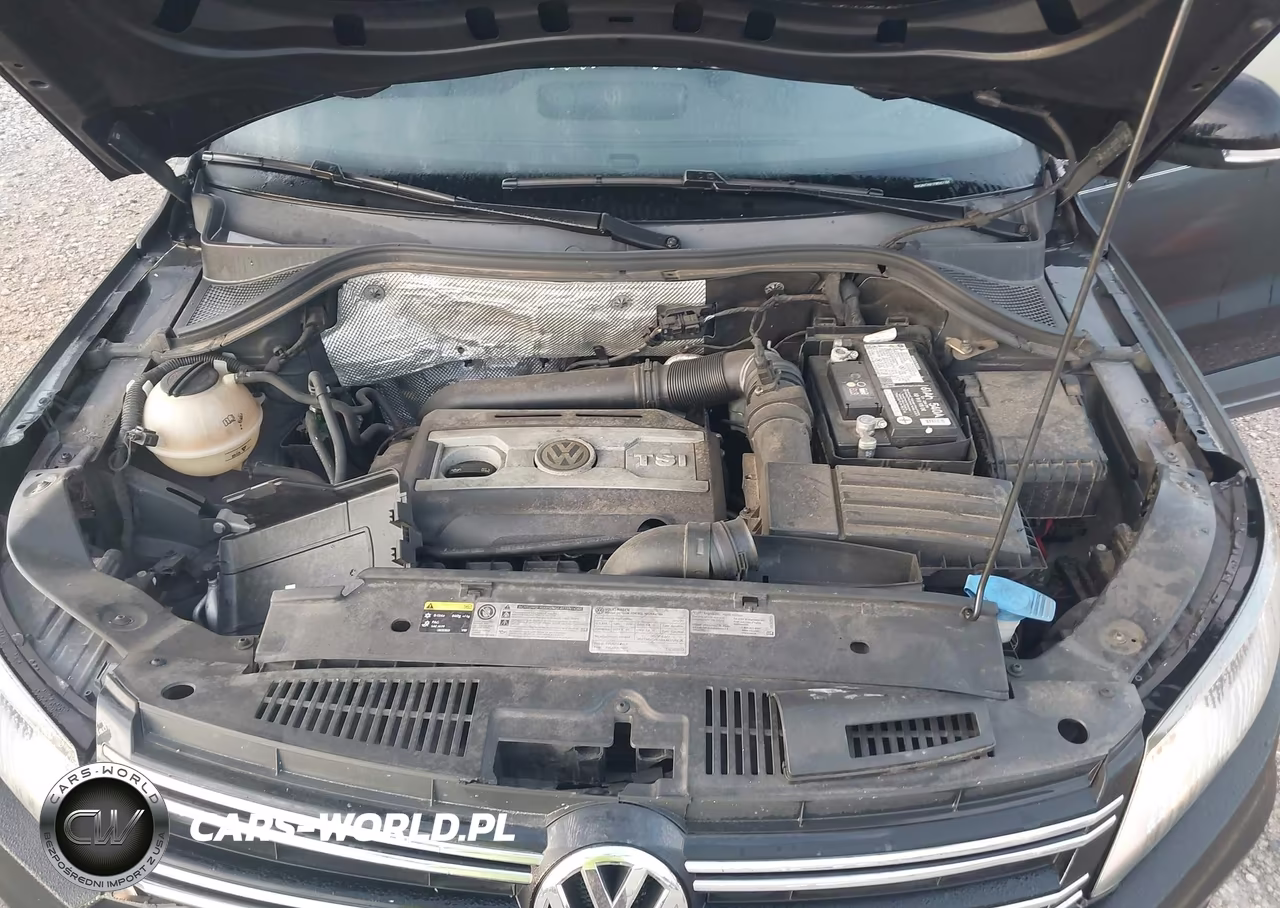 2015 Volkswagen Tiguan Se VIN:WVGAV7AX1FW567166 - 10