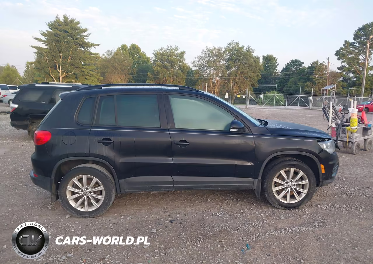 2015 Volkswagen Tiguan Se VIN:WVGAV7AX1FW567166 - 13