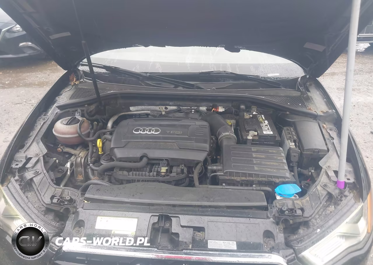 2015 Audi A3 2.0T Premium VIN:WAUKFGFF5F1006971 - 10