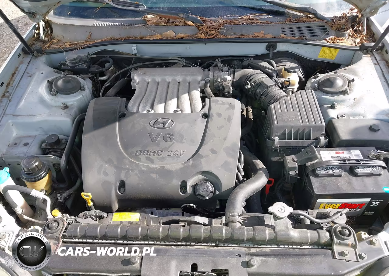 2004 Hyundai Sonata Gls-Lx VIN:KMHWF35HX4A925339 - 10