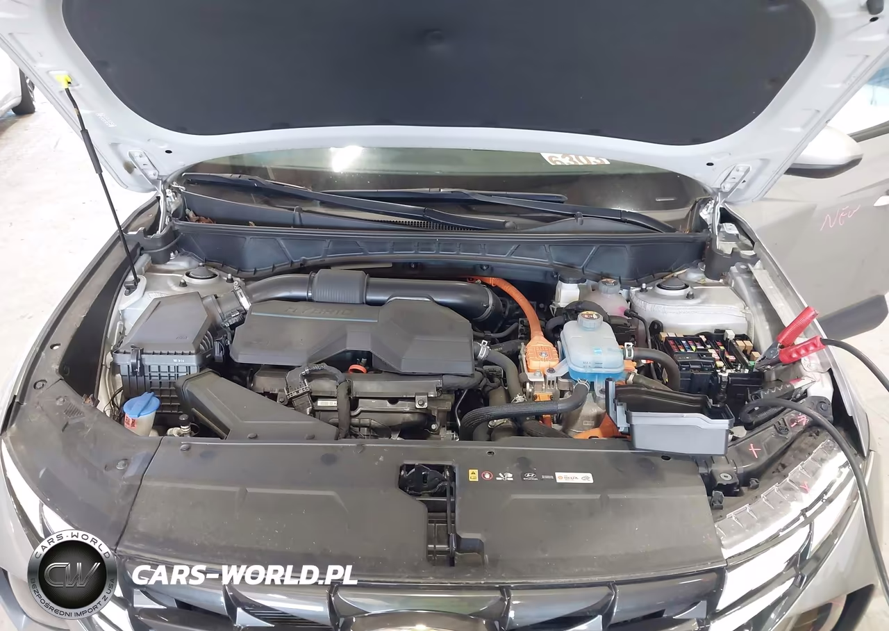 2024 Hyundai Tucson Plug-In Hybrid Sel VIN:KM8JBDD23RU142944 - 10