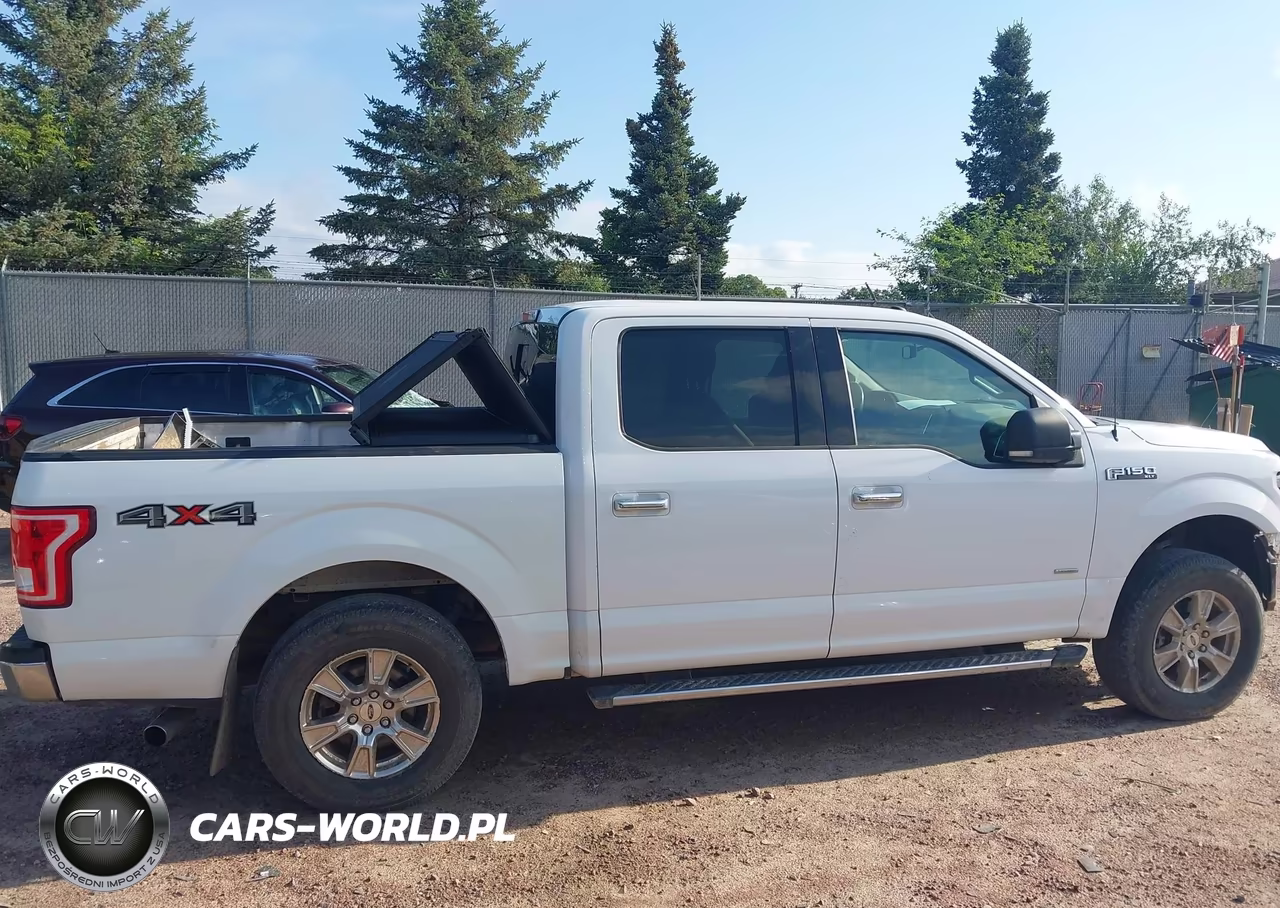 2016 Ford F-150 Lariat-Xl-Xlt VIN:1FTEW1EP7GKD65063 - 14