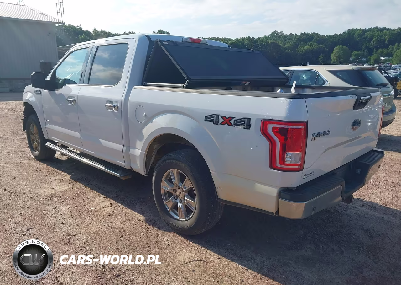 2016 Ford F-150 Lariat-Xl-Xlt VIN:1FTEW1EP7GKD65063 - 3