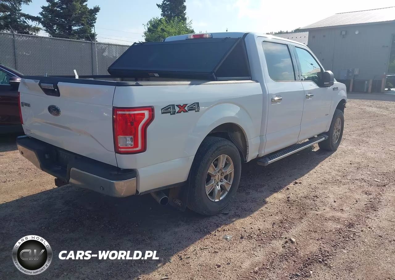 2016 Ford F-150 Lariat-Xl-Xlt VIN:1FTEW1EP7GKD65063 - 4