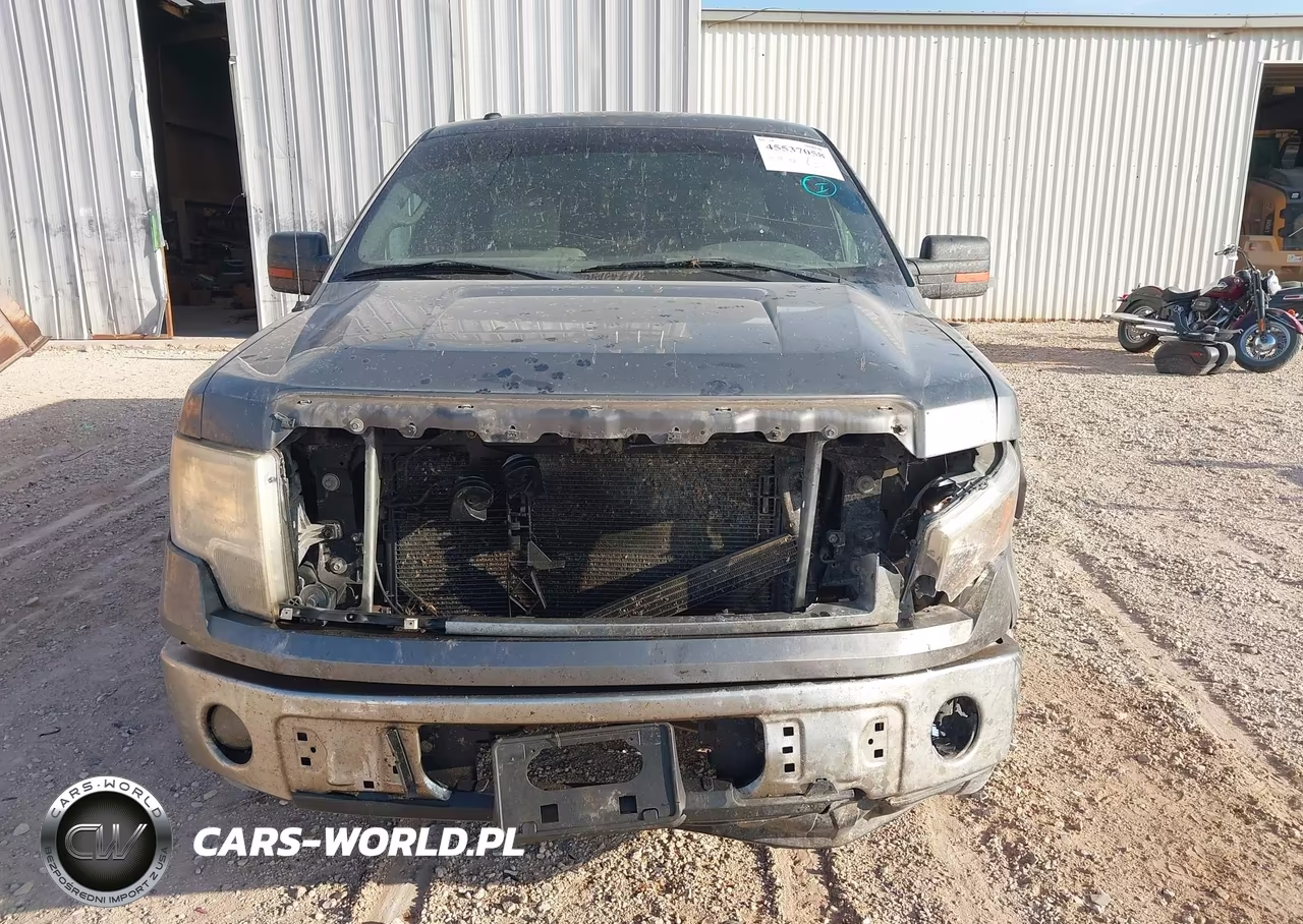 2010 Ford F-150 Fx2 Sport-Xl-Xlt VIN:1FTEW1C80AKA75945 - 12