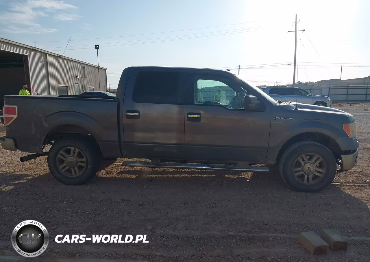 2010 Ford F-150 Fx2 Sport-Xl-Xlt VIN:1FTEW1C80AKA75945 - 13