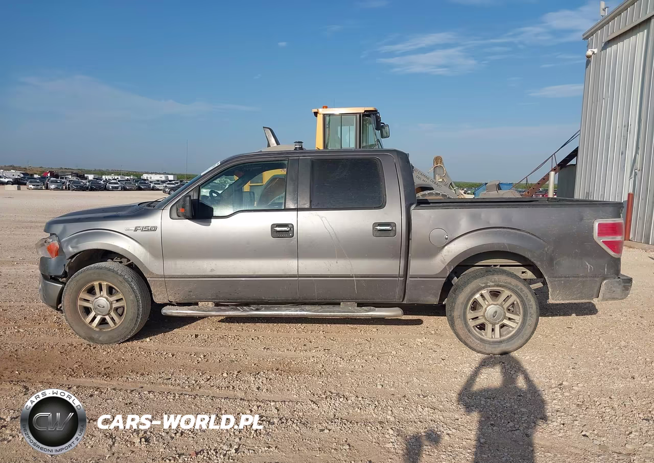 2010 Ford F-150 Fx2 Sport-Xl-Xlt VIN:1FTEW1C80AKA75945 - 14