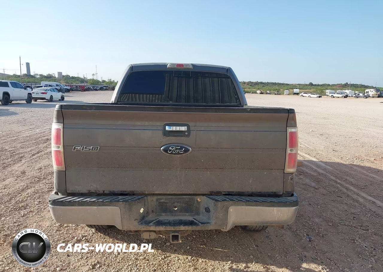 2010 Ford F-150 Fx2 Sport-Xl-Xlt VIN:1FTEW1C80AKA75945 - 16