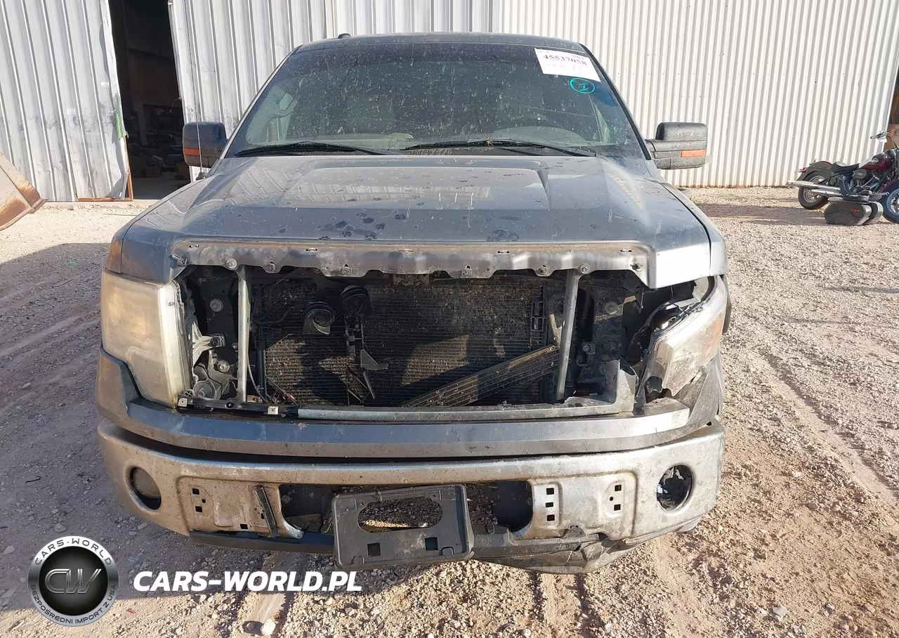 2010 Ford F-150 Fx2 Sport-Xl-Xlt VIN:1FTEW1C80AKA75945 - 17