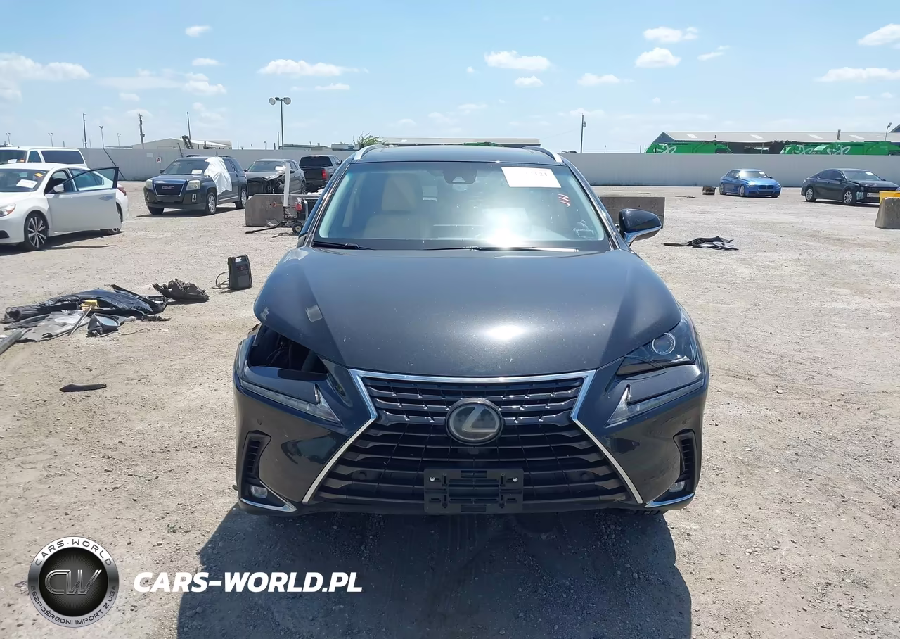 2019 Lexus Nx 300 VIN:JTJYARBZXK2144093 - 13