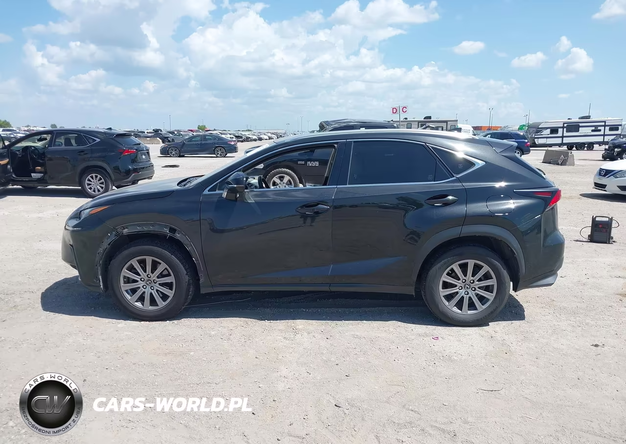 2019 Lexus Nx 300 VIN:JTJYARBZXK2144093 - 15