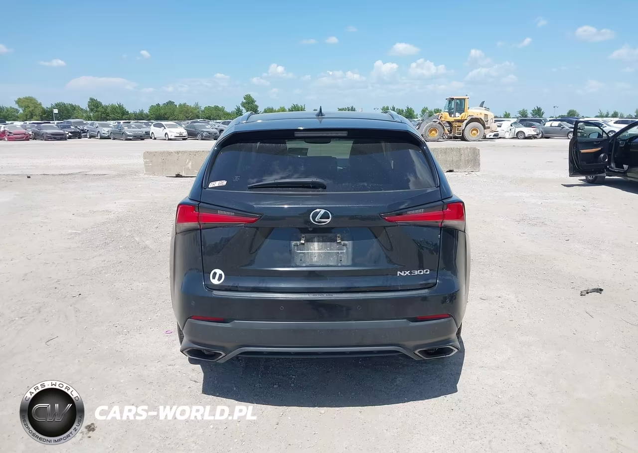 2019 Lexus Nx 300 VIN:JTJYARBZXK2144093 - 17