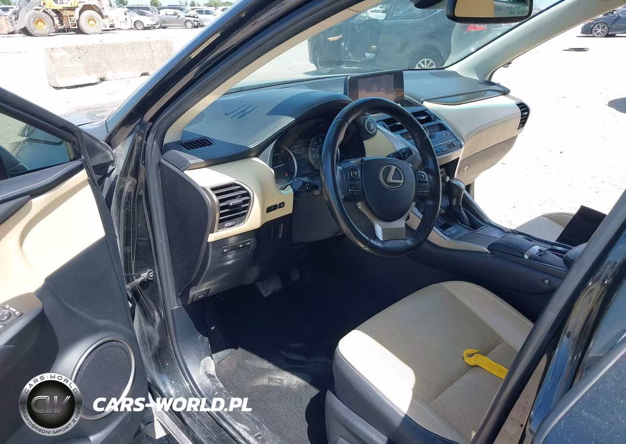 2019 Lexus Nx 300 VIN:JTJYARBZXK2144093 - 18